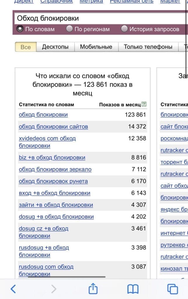 Статистика Yandex свидетельствующая что благодаря нам обход блокировки сайтов невероятно облегчит жизнь многим людям